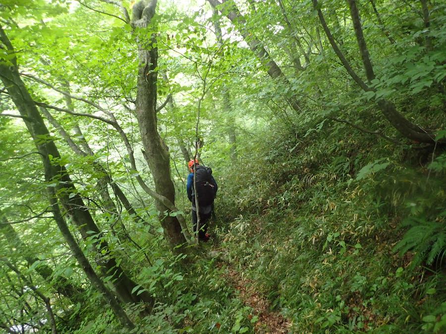 登山道から再び沢へ